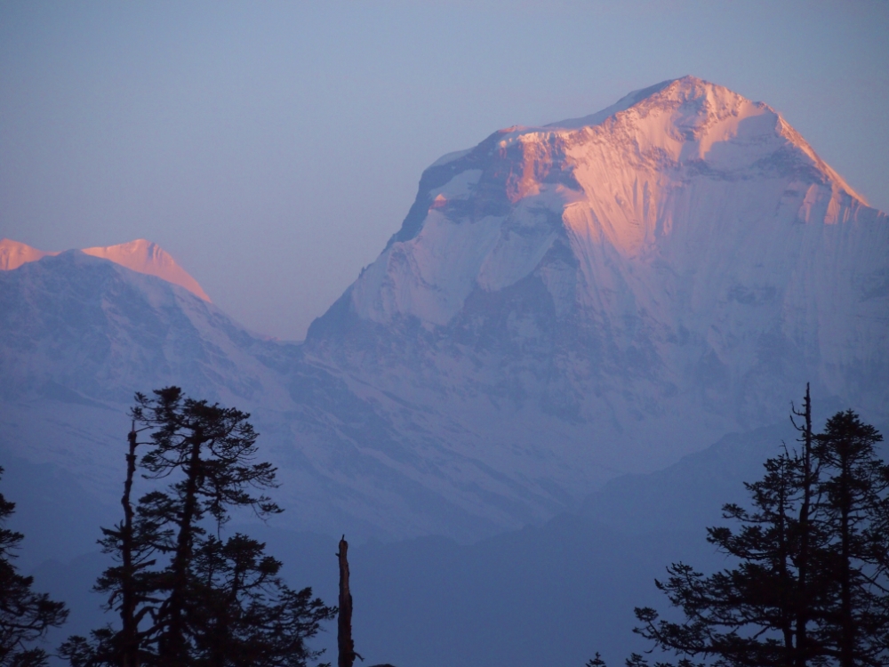 Photograph by Martin Travers